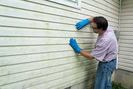 Best Storm Damage Siding Repair  in Rose Lodge, OR